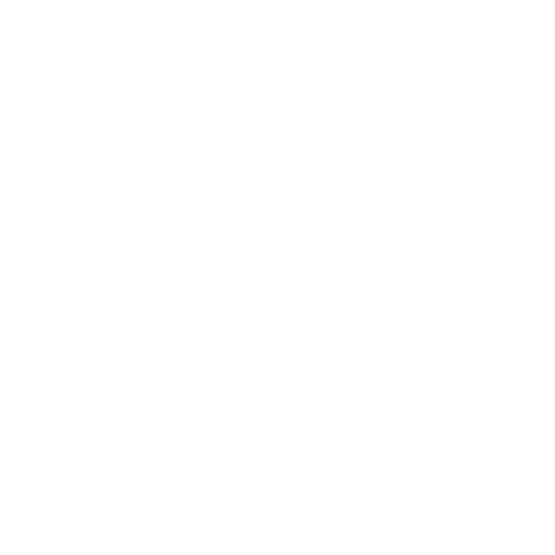 Aiesec-01